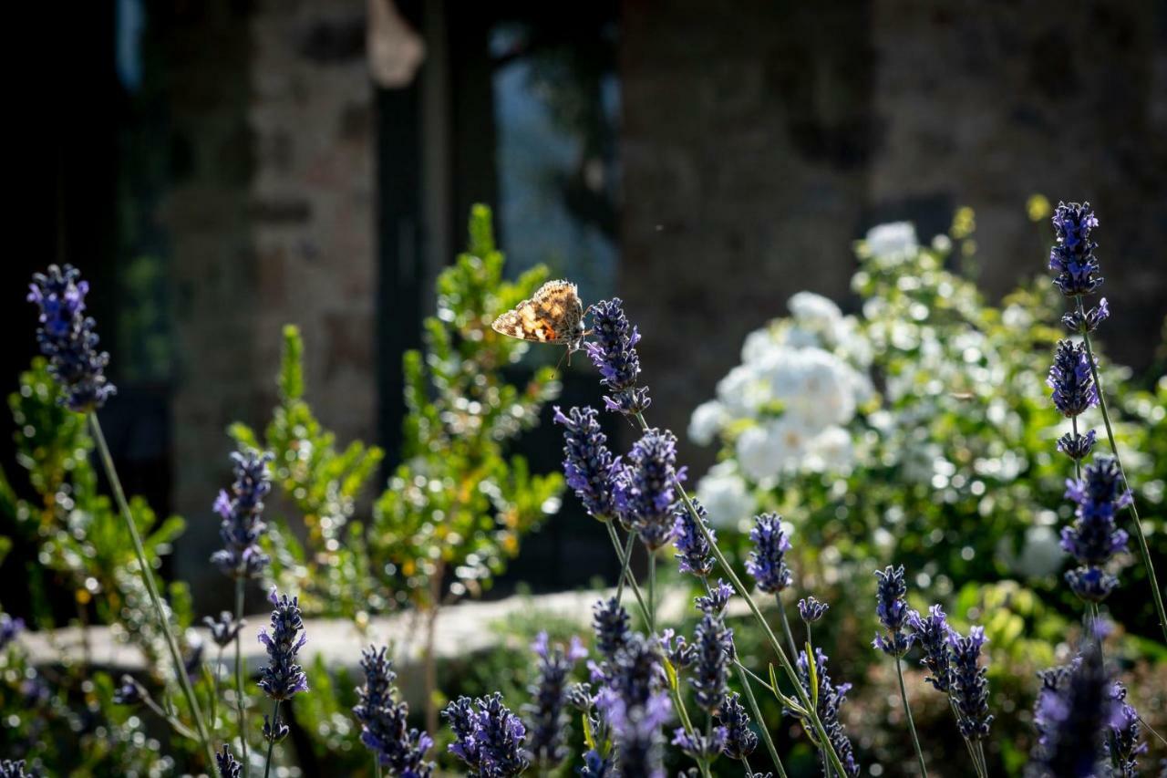 Mastrojanni Relais Villa Montalcino Exterior foto