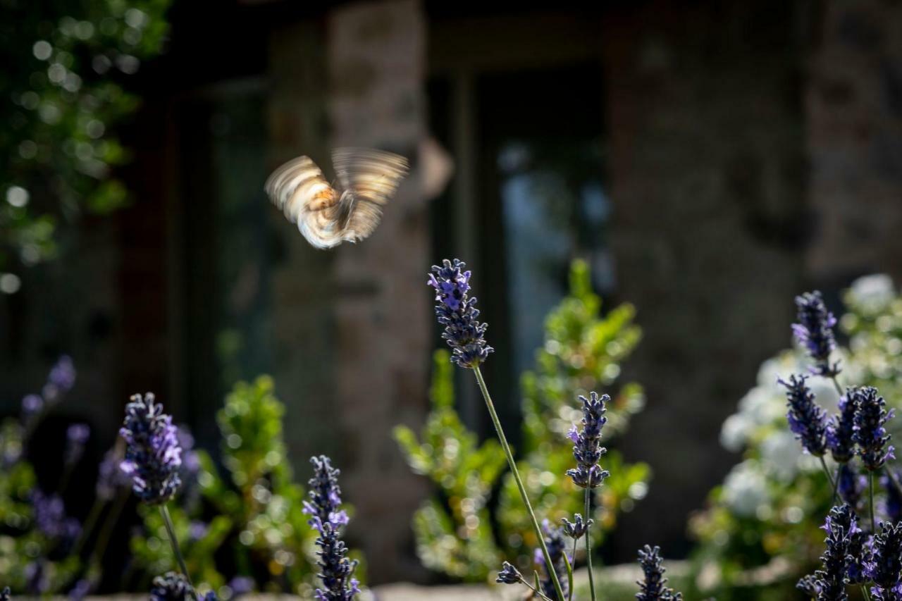 Mastrojanni Relais Villa Montalcino Exterior foto