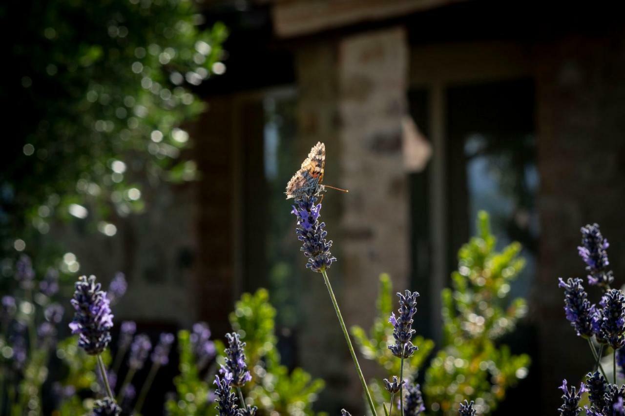 Mastrojanni Relais Villa Montalcino Exterior foto